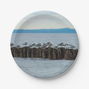 Seagull Breaktime Paper Plate