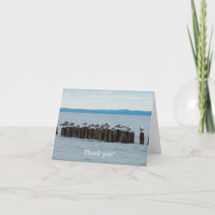 Seagull Breaktime Thank You Card