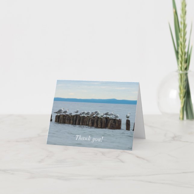 Seagull Breaktime Thank You Card (Front)