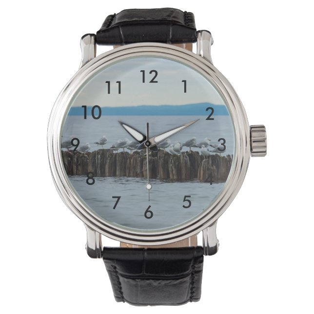 Seagull Breaktime Watch (Front)