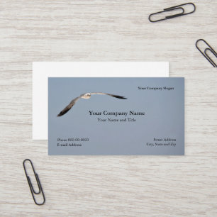 Seagull Business Card