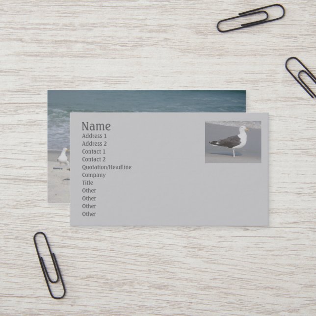 Seagull Business Card (Front/Back In Situ)