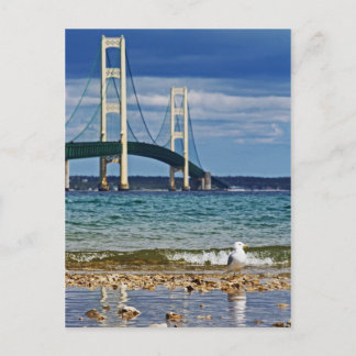 Seagull by Mackinac Bridge Postcard