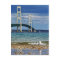 Seagull by Mackinac Bridge