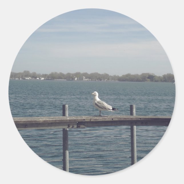 Seagull By The Lake Classic Round Sticker (Front)