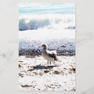 seagull by the ocean on the beach picture stationery