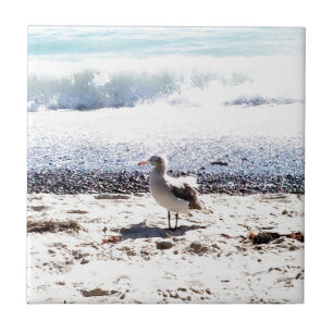 seagull by the ocean on the beach picture tile