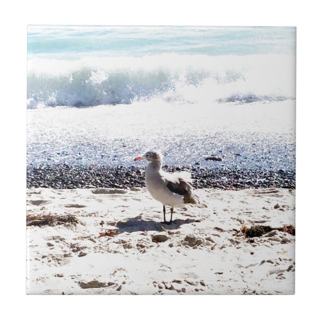 seagull by the ocean on the beach picture tile (Front)