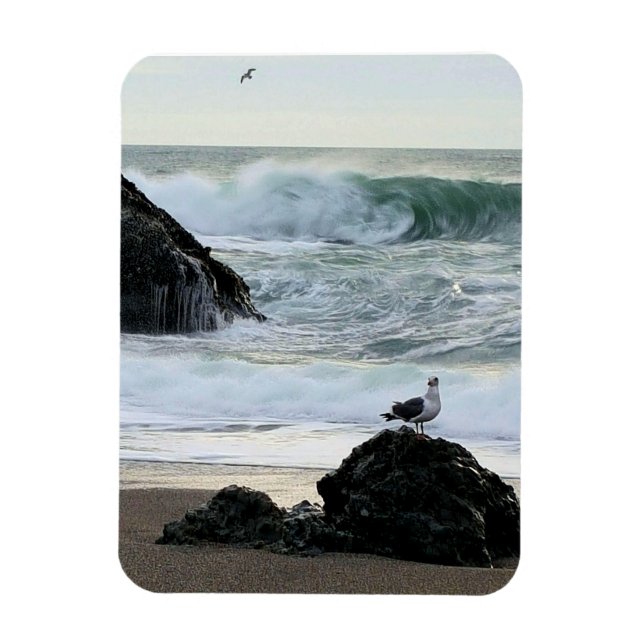 Seagull by the Sea Magnet (Vertical)