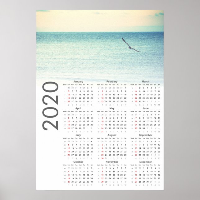 Seagull Calendar 2020 Poster (Front)