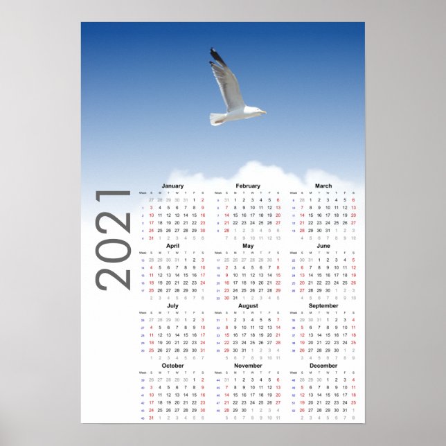 Seagull Calendar 2021 Poster - Sunday first (Front)