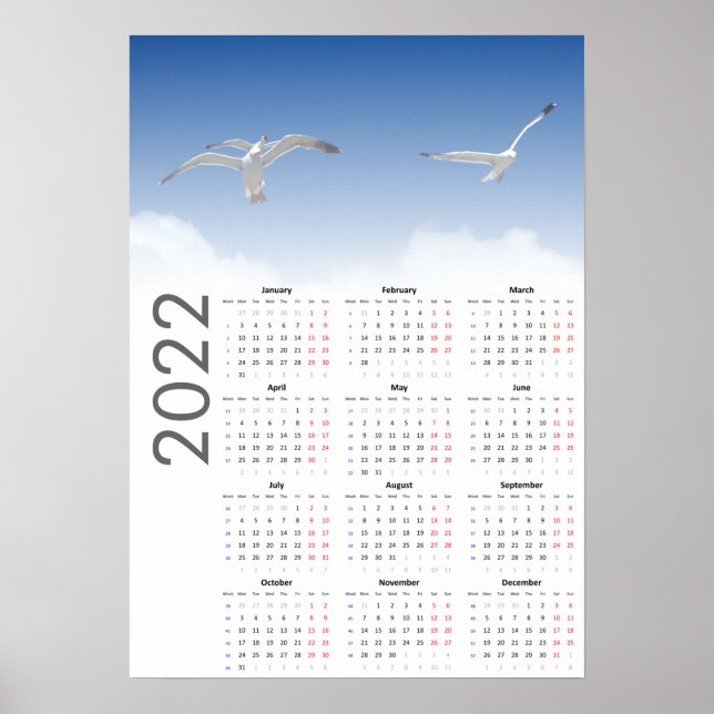 Seagull Calendar 2022 Poster - Monday first (Front)