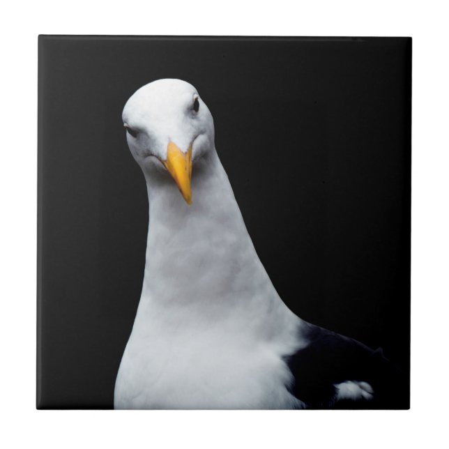 Seagull Ceramic Tile (Front)