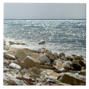 Seagull Ceramic Tile