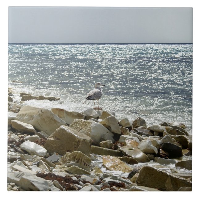 Seagull Ceramic Tile (Front)