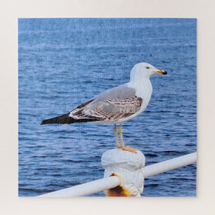 Seagull Constanta Romania – Black Sea Photography Jigsaw Puzzle