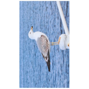 Seagull Constanta Romania – Black Sea Photography Tablecloth