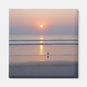 Seagull Daytona Beach FL Ocean Sunrise Magnet