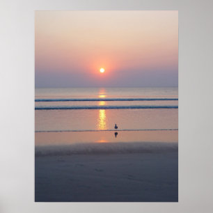 Seagull Daytona Beach FL Ocean Sunrise Poster