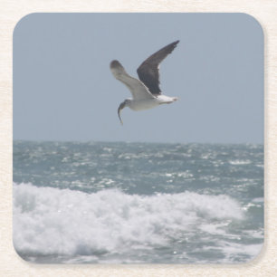 Seagull Drink Coasters