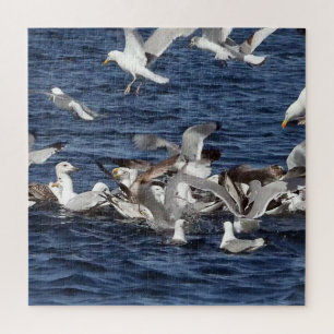 Seagull eeding Frenzy Acrylic Jigsaw Puzzle