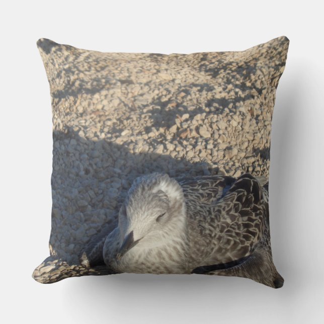 Seagull Enjoying The Sun Summer Photography Cushion (Front)