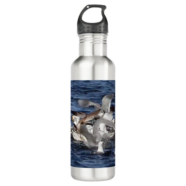 Seagull Feeding Frenzy  710 Ml Water Bottle (Front)