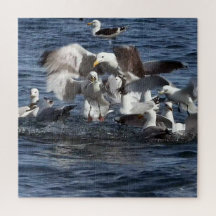 Seagull Feeding Frenzy Acrylic Jigsaw Puzzle