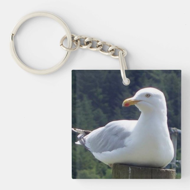 Seagull Fence Post Woodland Wildlife Serenity Art Key Ring (Front)
