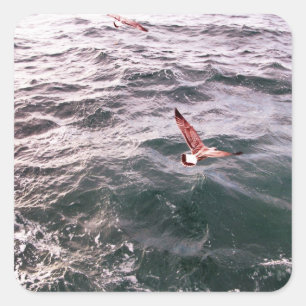 SEAGULL FLYING OVER THE SEA WAVES SQUARE STICKER