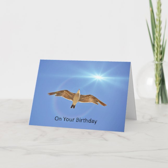 Seagull Flying Sky High in Sun Birthday Card (Front)