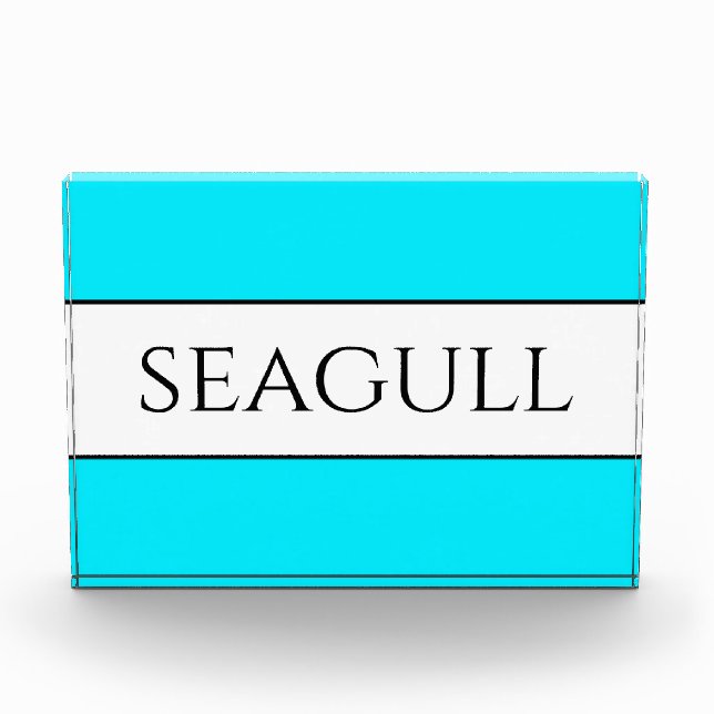 SEAGULL Fun Bright Pretty Sky Blue White Stripes  Photo Block (Front)