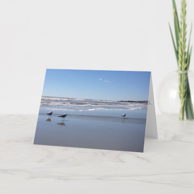 seagull greeting card (Front)