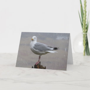 Seagull Greetings Add Text Card