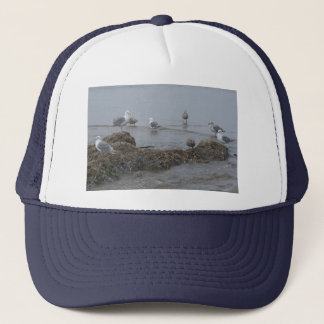 Seagull Hat