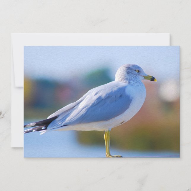 Seagull Holiday Card (Front)