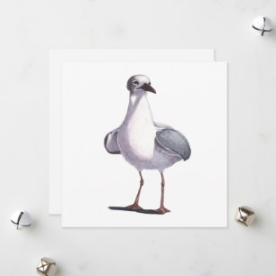 Seagull Holiday Card