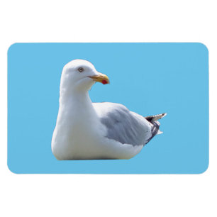 Seagull Horizontal Flexible Photo Magnet