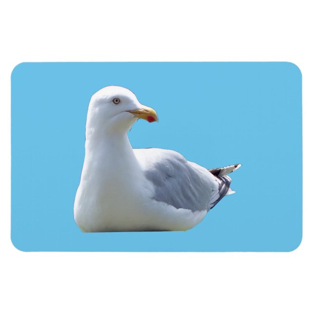Seagull Horizontal Flexible Photo Magnet (Horizontal)