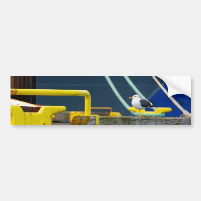 Seagull in an abstract environment bumper sticker (Front)