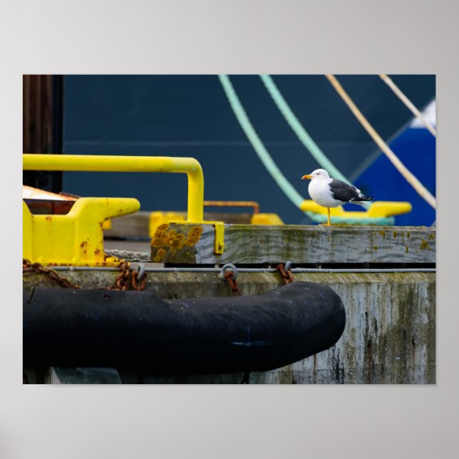 Seagull in an abstract environt poster (Front)