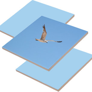 Seagull in Flight Blue Ceramic Tile