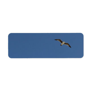 Seagull in flight return address label