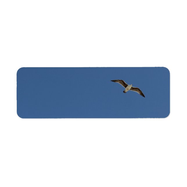 Seagull in flight return address label (Front)