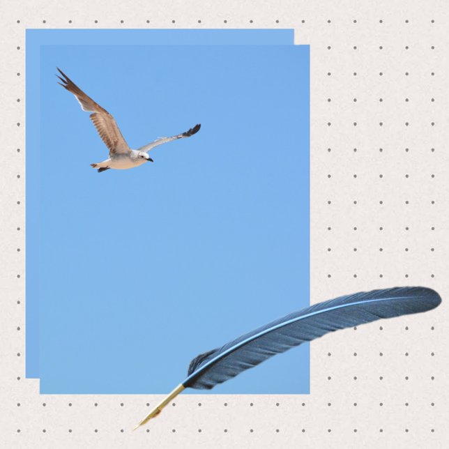 Seagull in Flight Sky Blue Coastal Paper sheet (Creator Uploaded)