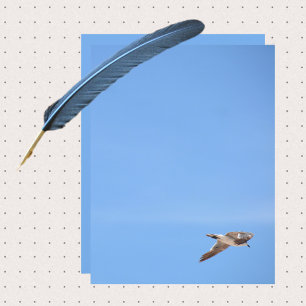 Seagull in Flight Sky Blue paper sheet