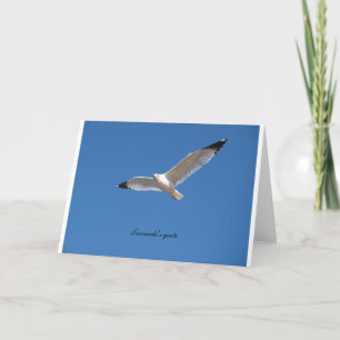 Seagull in flight with Leonardo's quote inside Card
