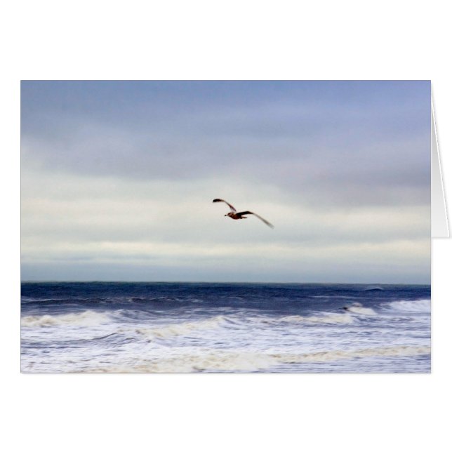 Seagull In Purple (Front Horizontal)