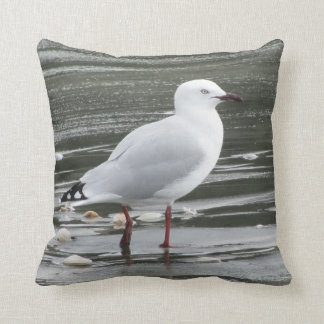Seagull in the Sea Cushion
