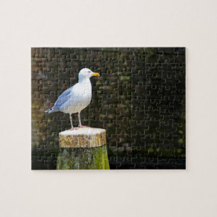 Seagull Jigsaw Puzzle